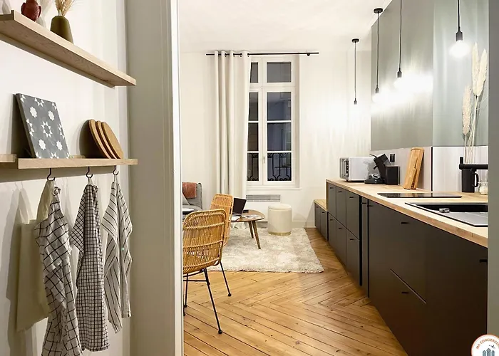 L'exotique - Vue Pl Vieux Marche - Standing Apartment Rouen